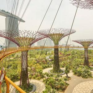 Singapore Gardens by the Bay Tickets - Honeymoon