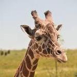 Columbus Zoo and Aquarium