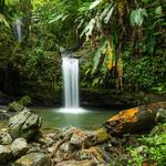 El Yunque National Forest