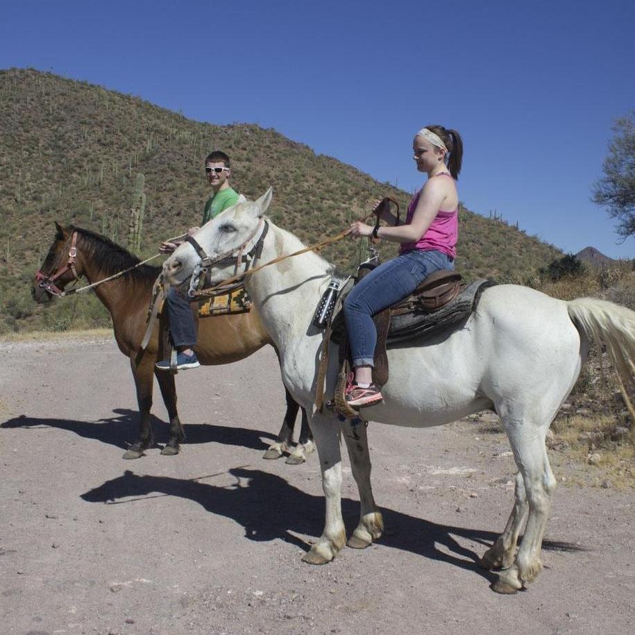 Horse-back riding in Arizona desert, May 2017
