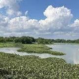 John Heinz National Wildlife Refuge at Tinicum