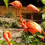 Salisbury Zoo