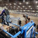 Majestic Valley Arena