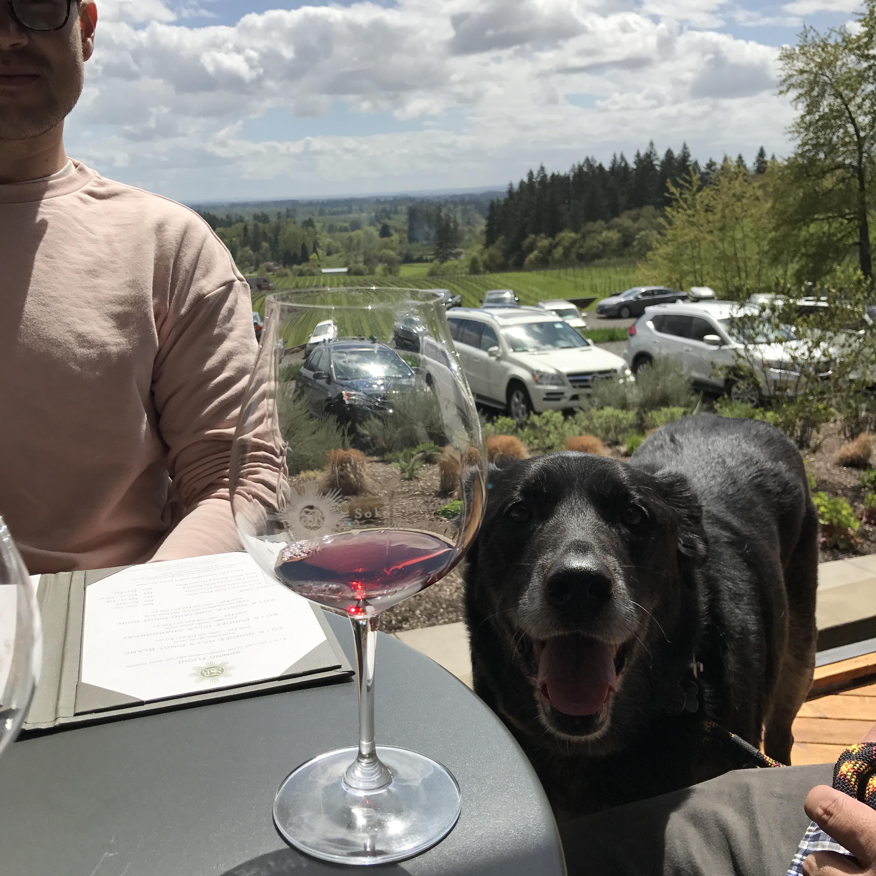 Oregon road trip with Stewie