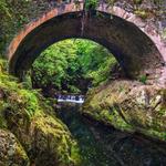 Tollymore Forest Park
