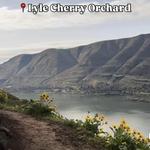 Lyle Cherry Orchard Trailhead