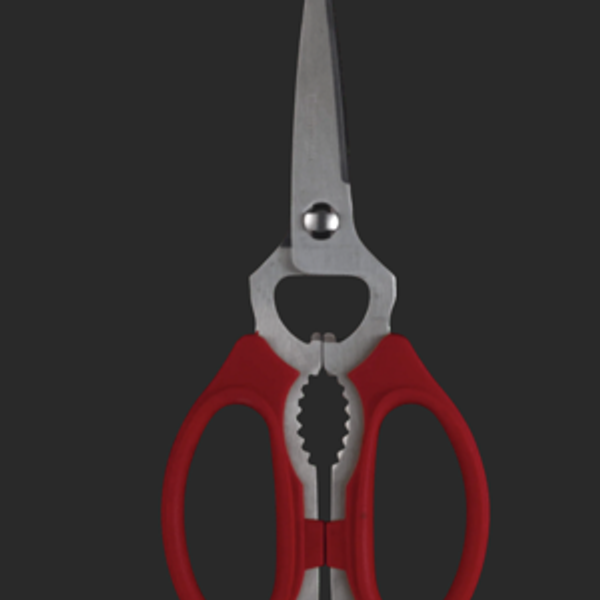 Red Kitchen Shears