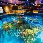 New England Aquarium
