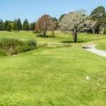 Golfing