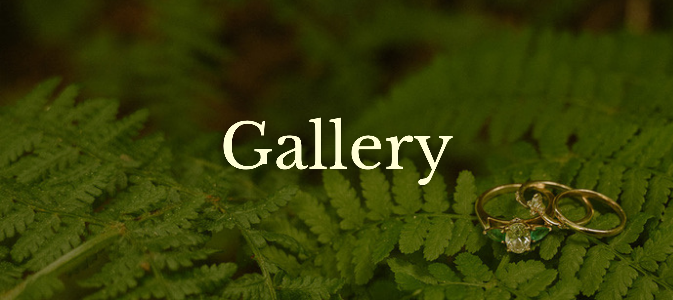 The Wedding Website of Mariah Hale and Joshua Homer
