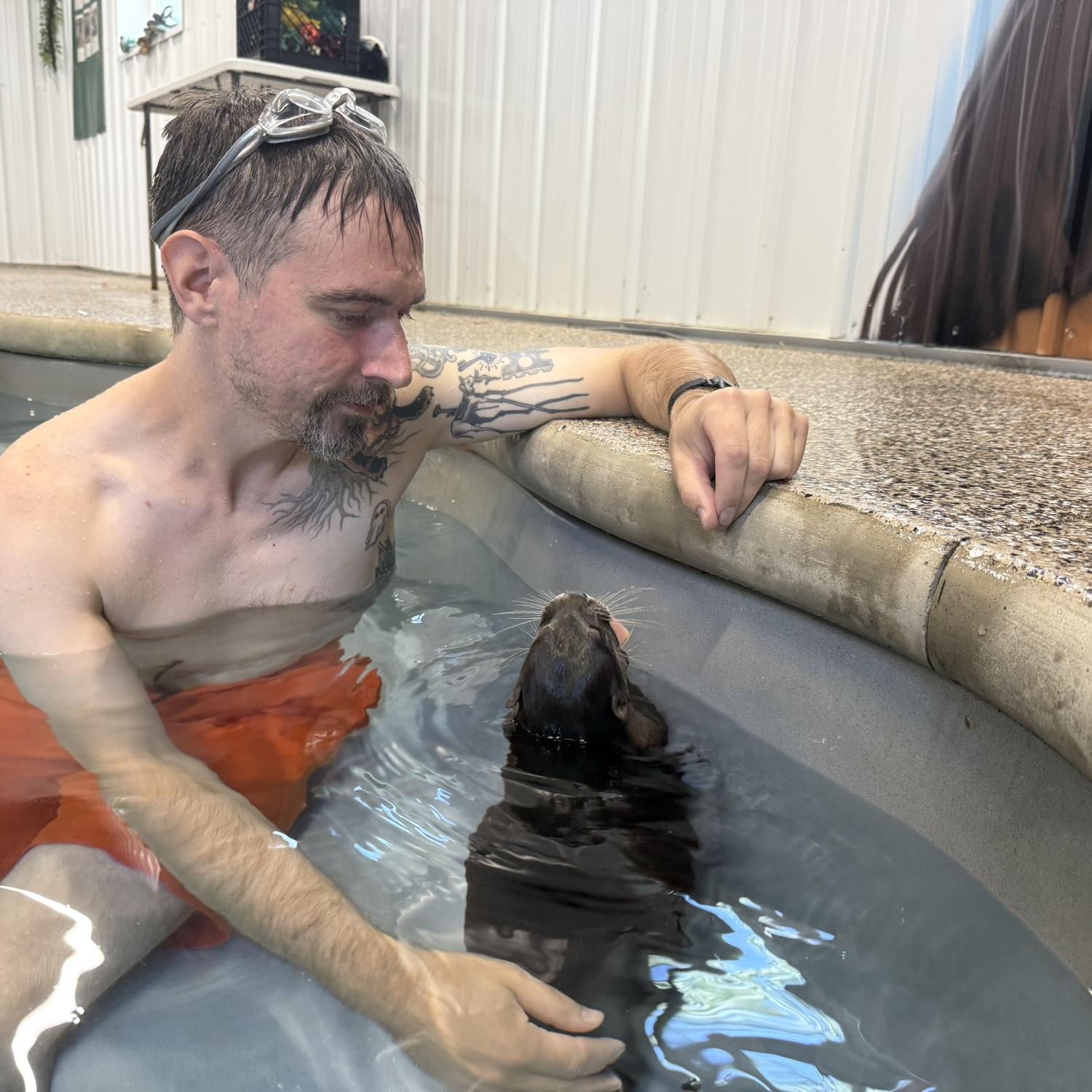 Swimming with Otters