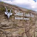 Saint Louis Zoo