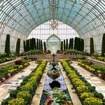 Como Park Zoo & Conservatory