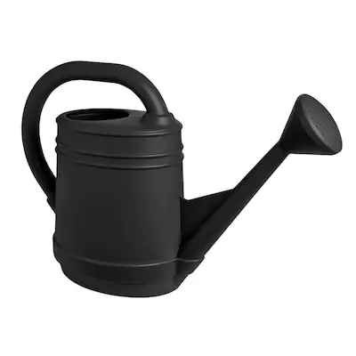 Shop Bloem Bloem 2-Gallon Slate Resin Traditional Watering Can