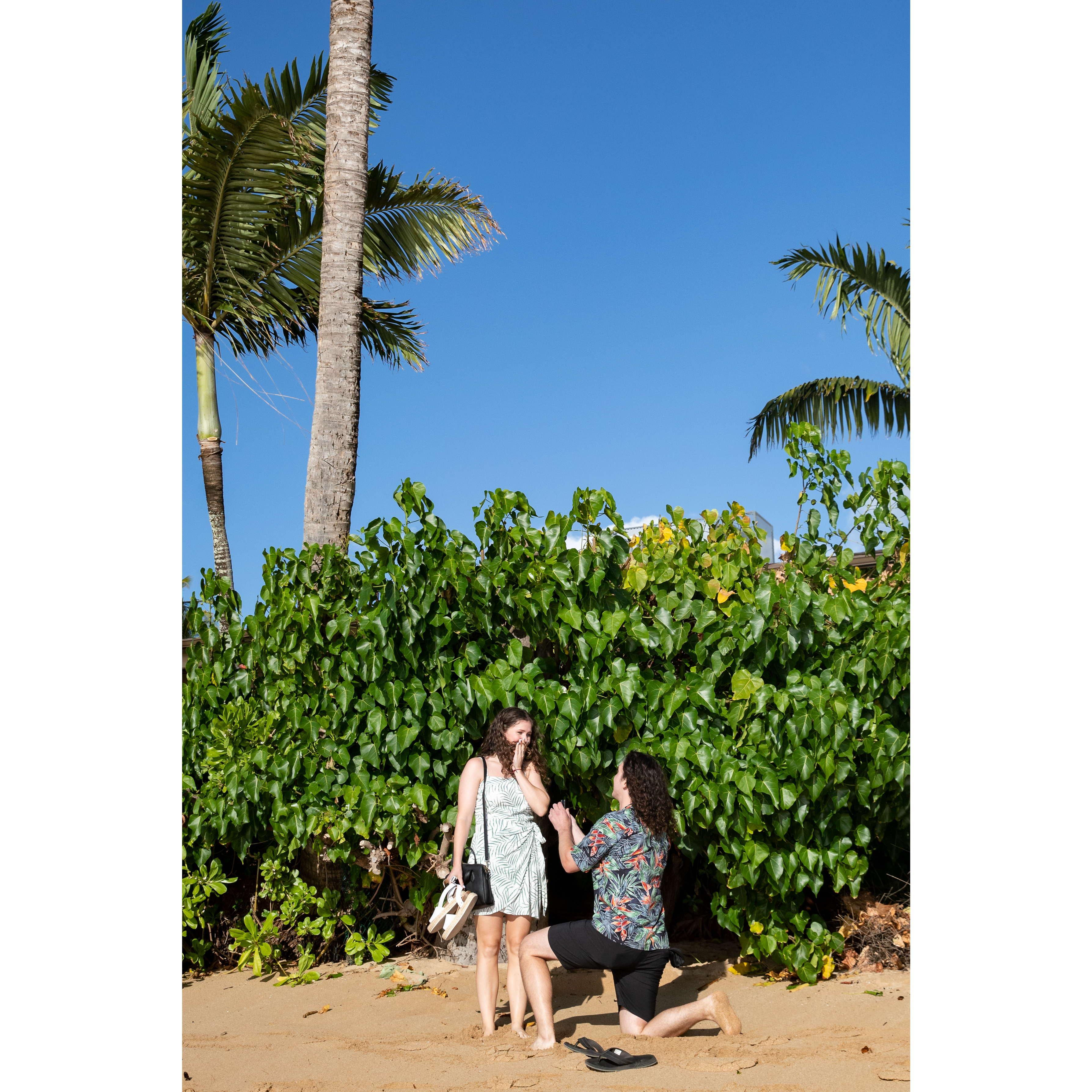 2021 Maui Engagement