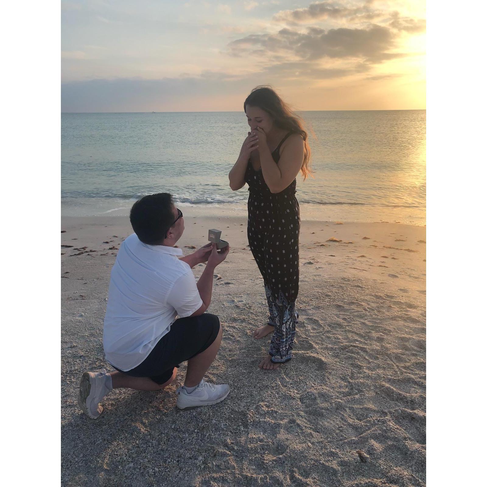 March 12, 2019: She said yes!