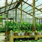 The Glass Greenhouse & Farm Market
