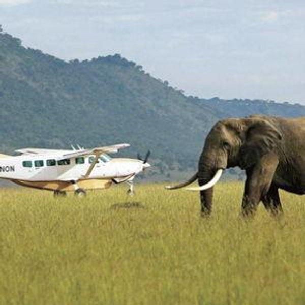Bush Flight from Dar es Salaam to Nyerere
