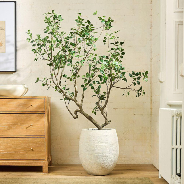 Faux Potted Manzania Tree, Green, 4ft 5in