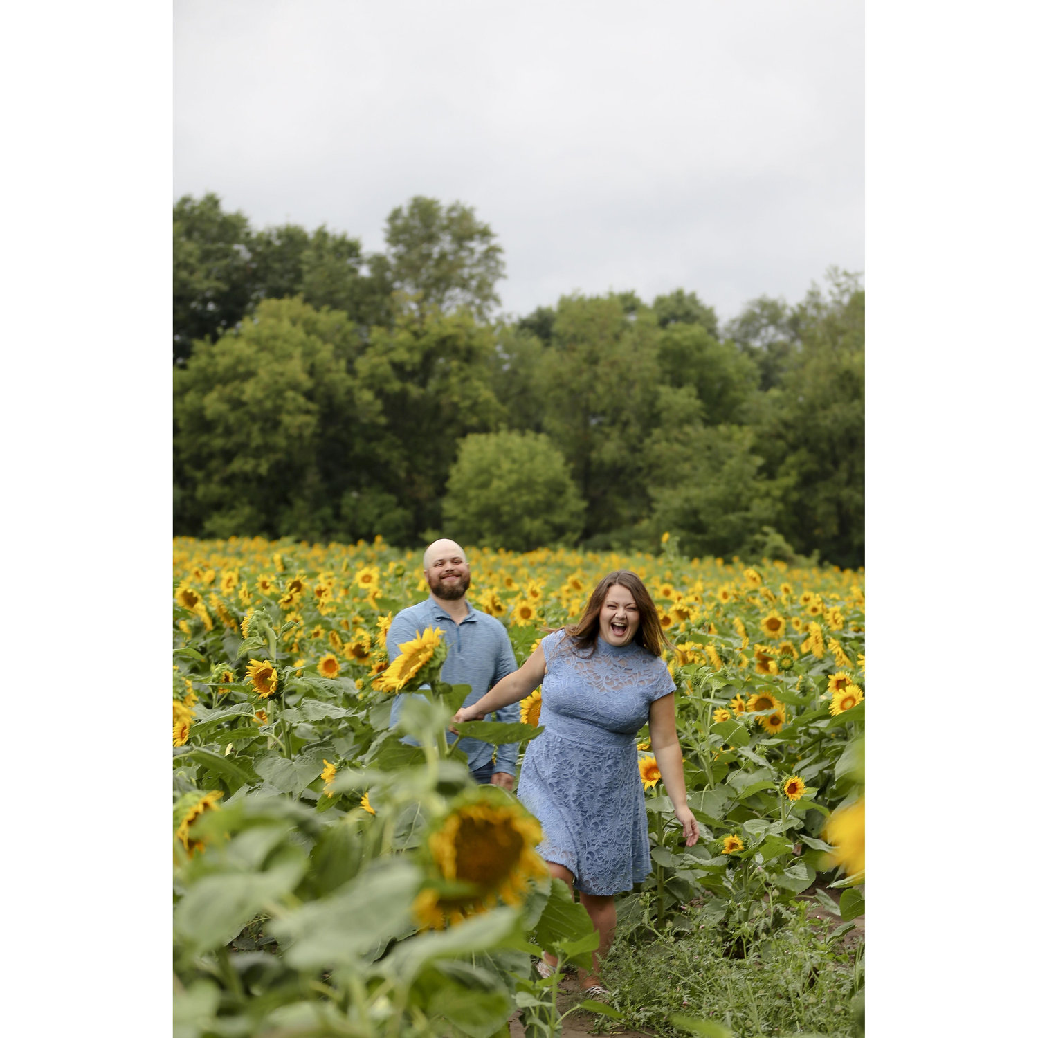 Sunflower Pictures - 2023 (Photo Credit - Sara Christianson)