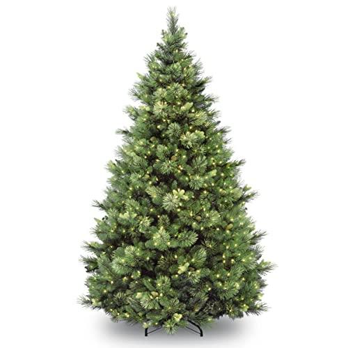National Tree Company 7 Ft Carolina Pine Pre-lit Artificial Christmas Tree | Includes Pre-strung White Lights and Stand