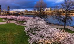 Tom McCall Waterfront Park