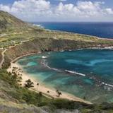 Tour the North Shore & Waimea Waterfall