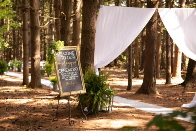 The Wedding Website of Amathist Bramson and Dawson Bramson