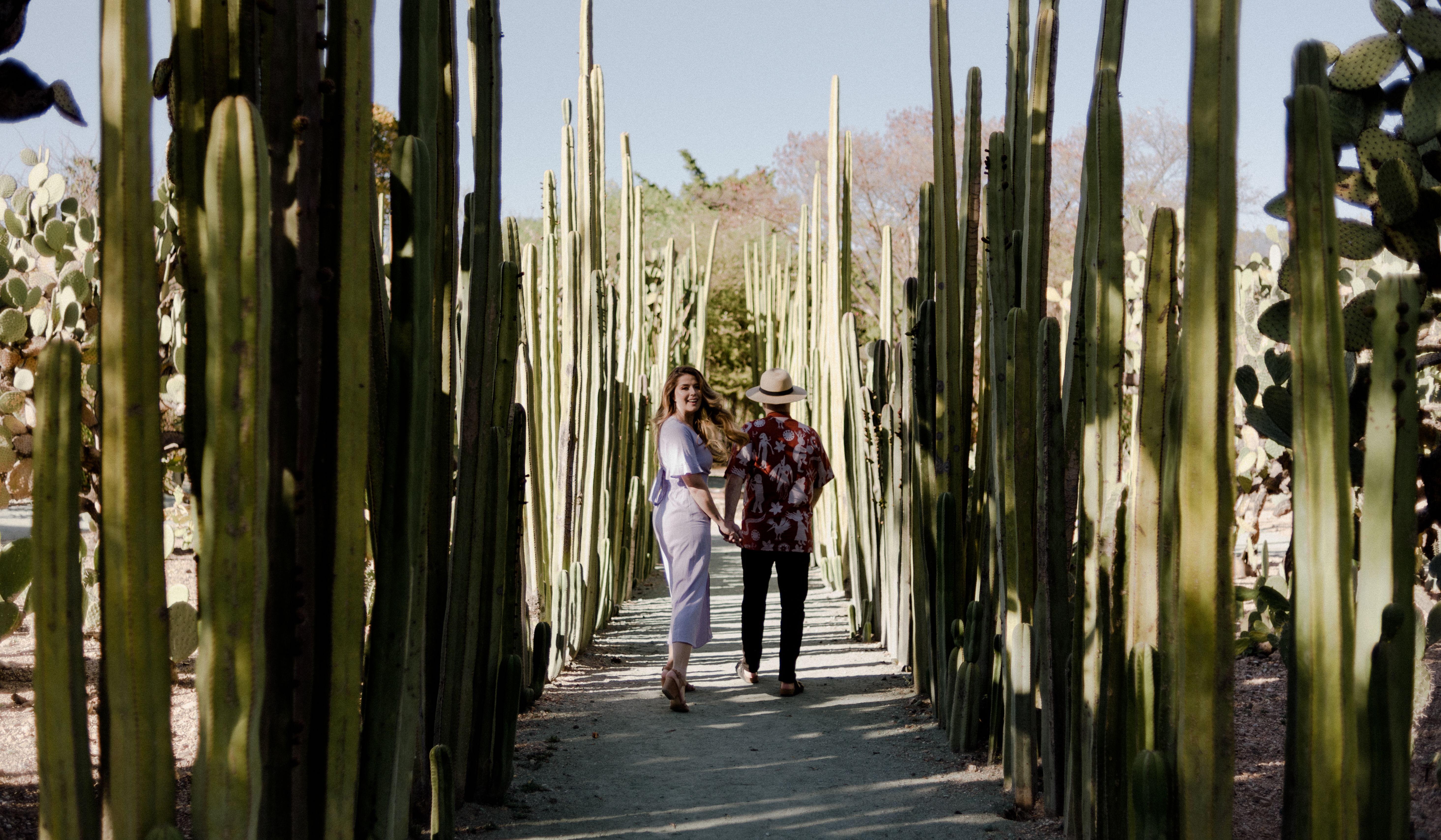 Hero Slideshow Image 3