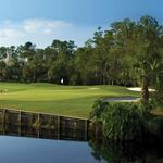 Saddlebrook Golf Club