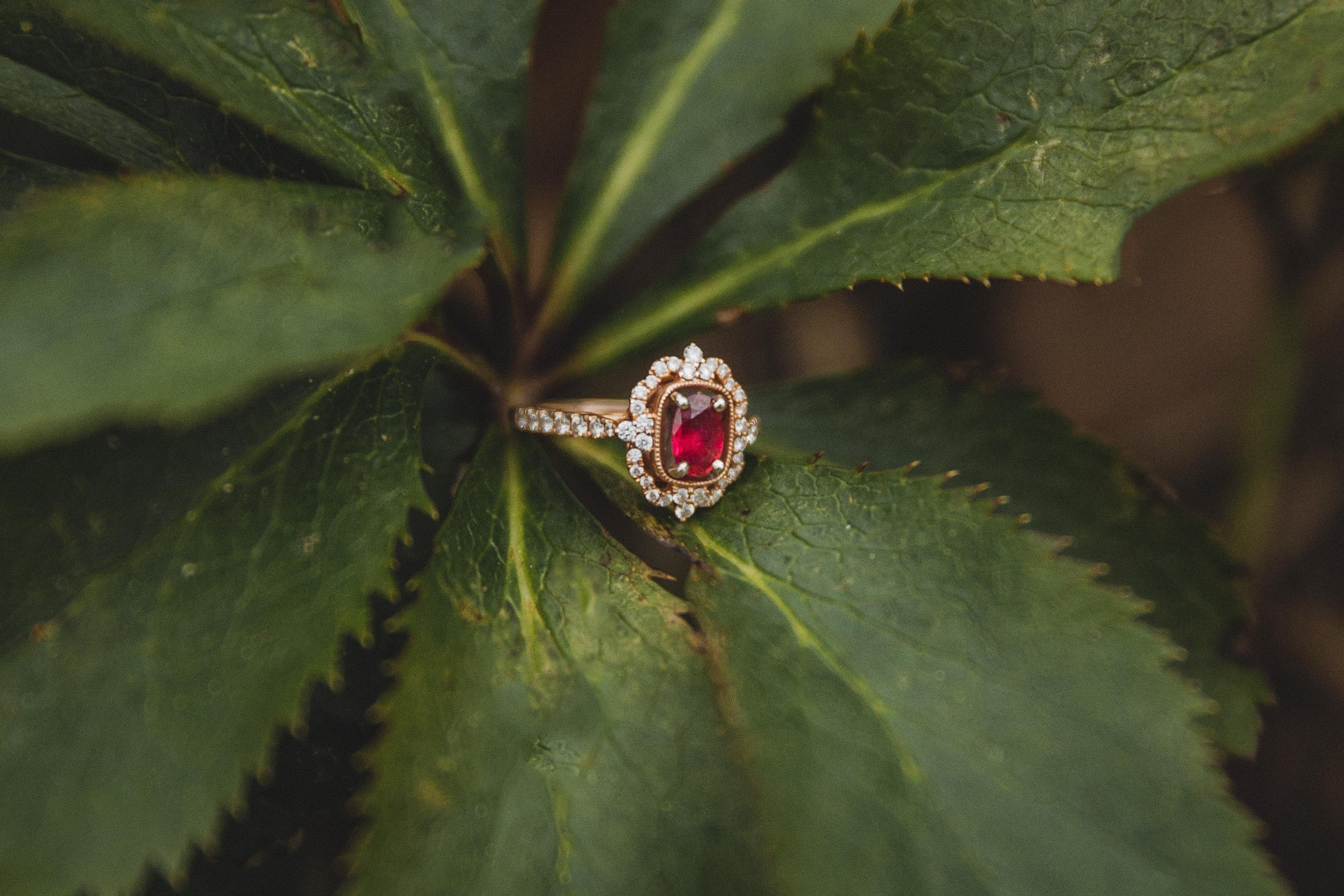 The Wedding Website of Erin Whitfield and Jeffrey Peterson