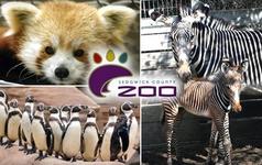 Sedgwick County Zoo