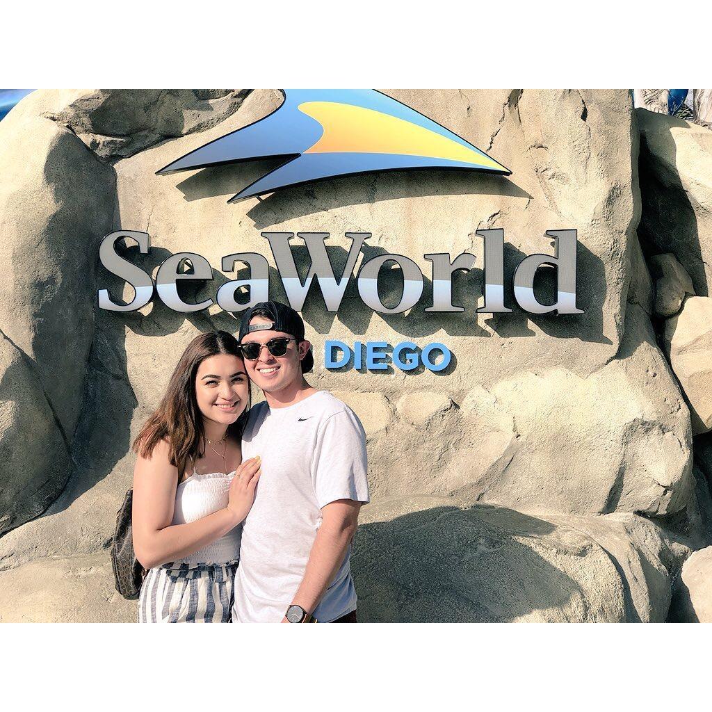 First time at sea world!