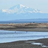 Boundary Bay Regional Park