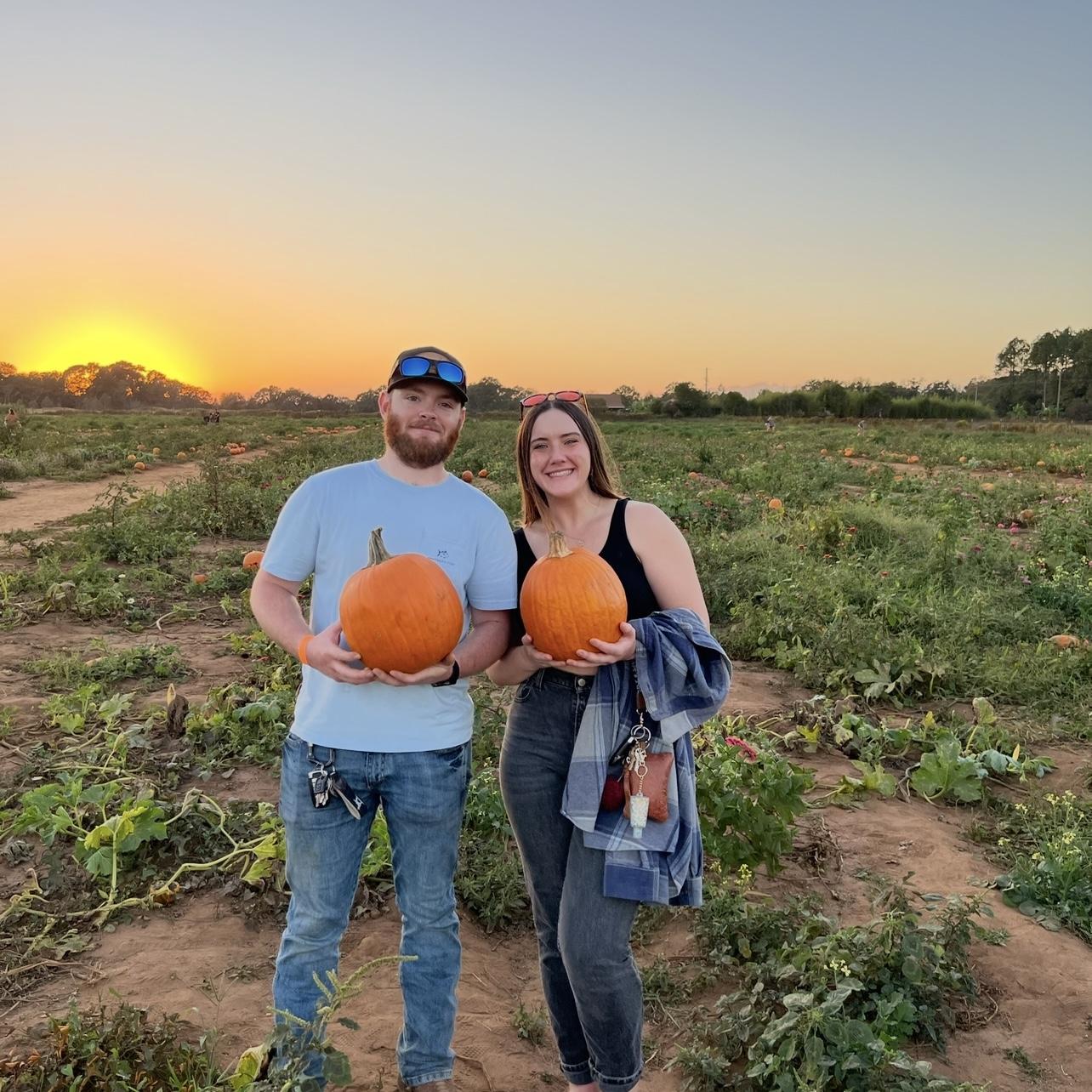 pumpkin patch 2023