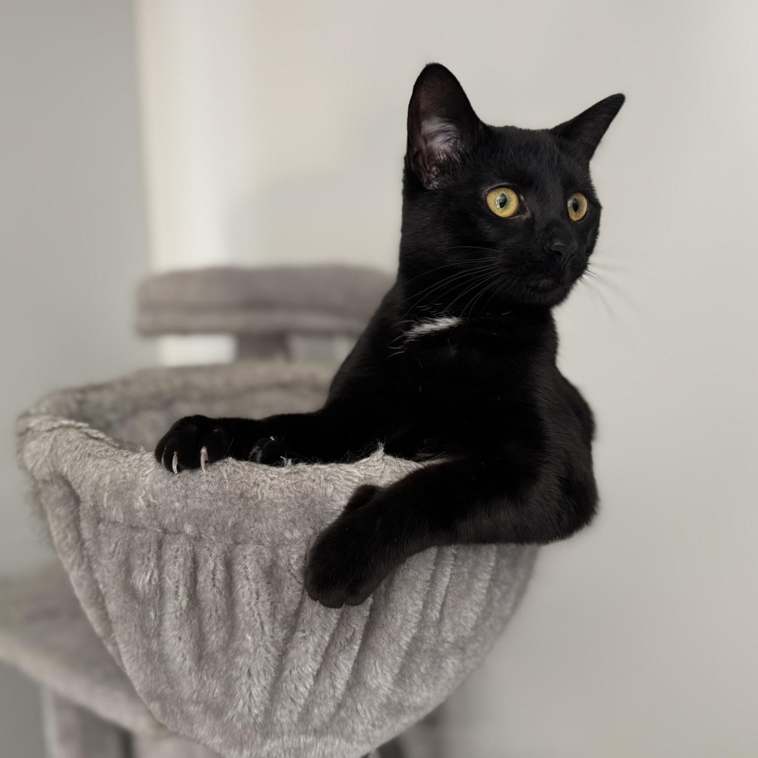Ebi showing off her gains
