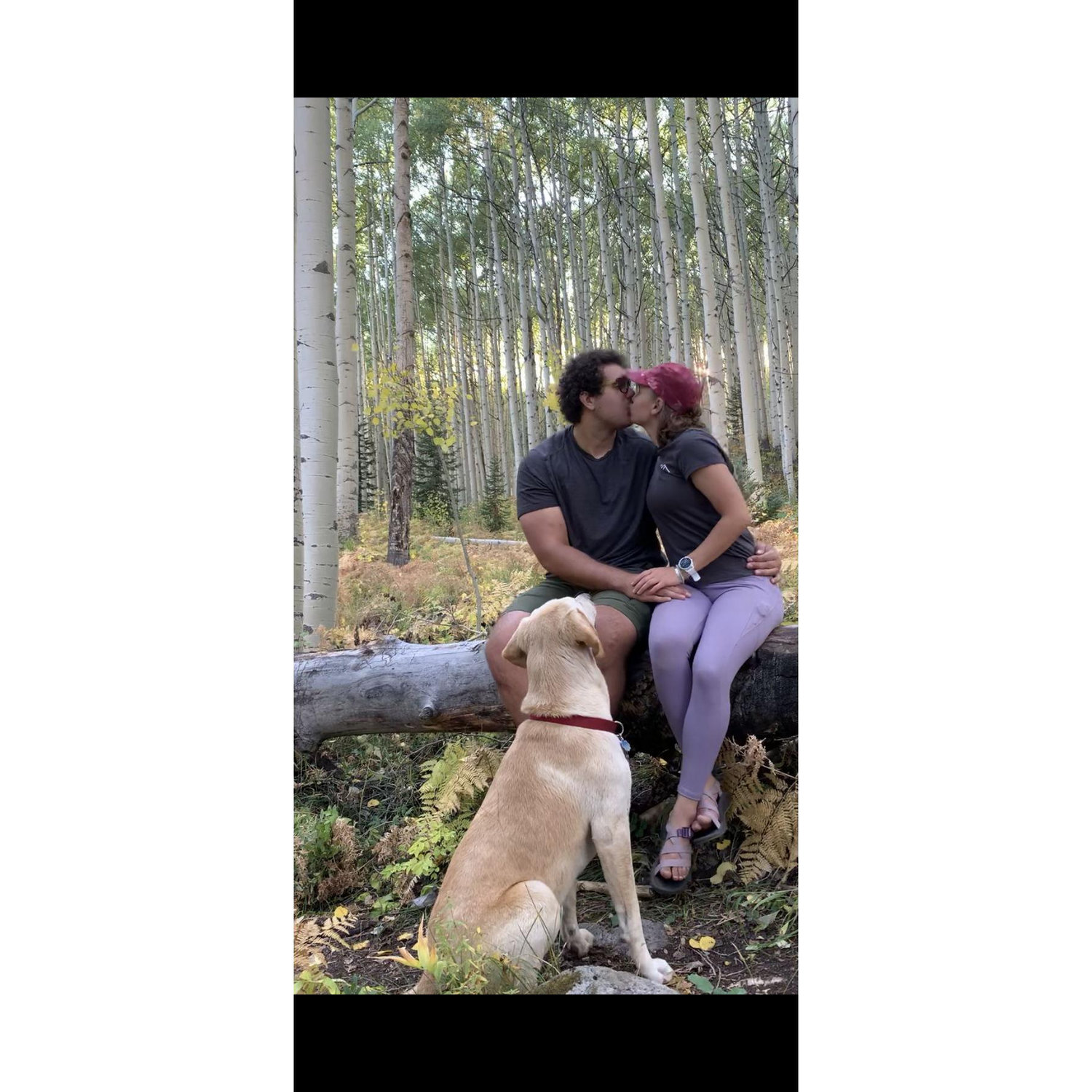 Crested Butte Leaf Peepin - September 2021