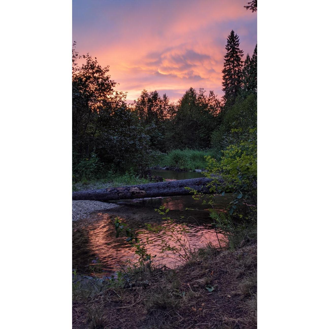 The Creek