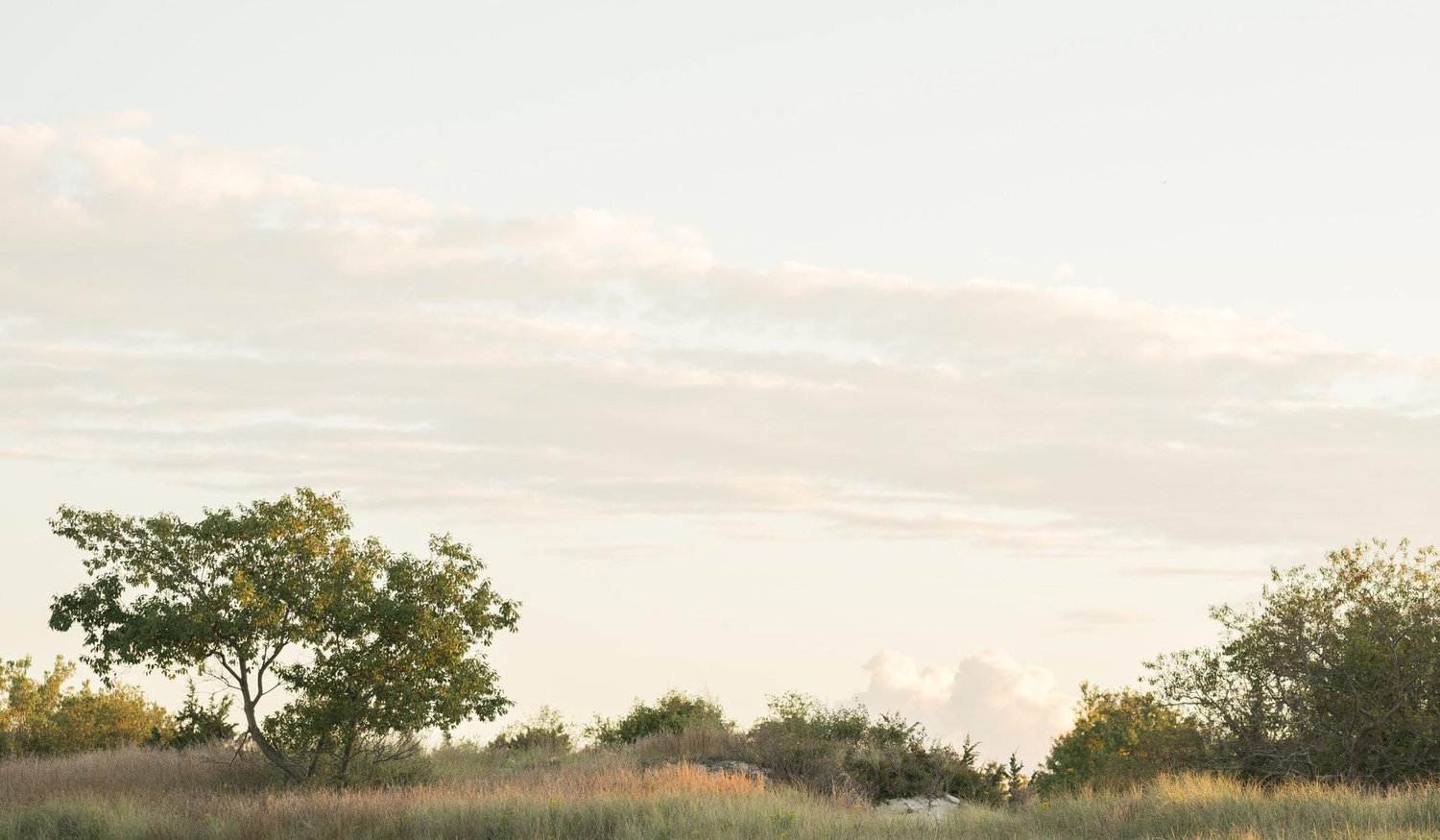 The Wedding Website of Katey Baraw and Derek Roschlein