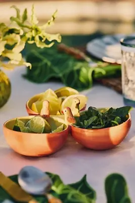 Farm Rio x Anthropologie Stoneware Tri-Bowl