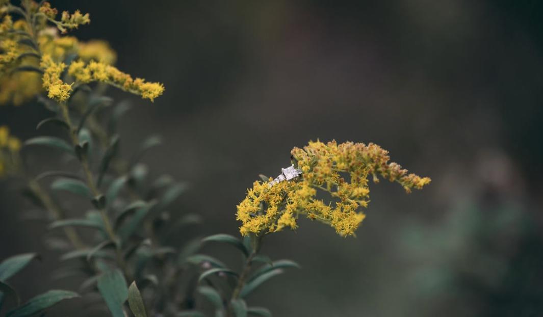 The Wedding Website of Delaney MacIvor and Austin Jones