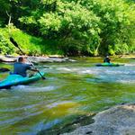 Tar River Life