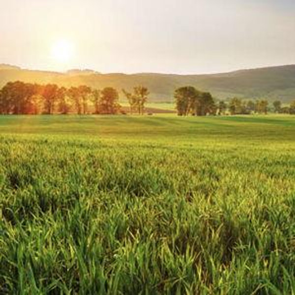 Land Fund