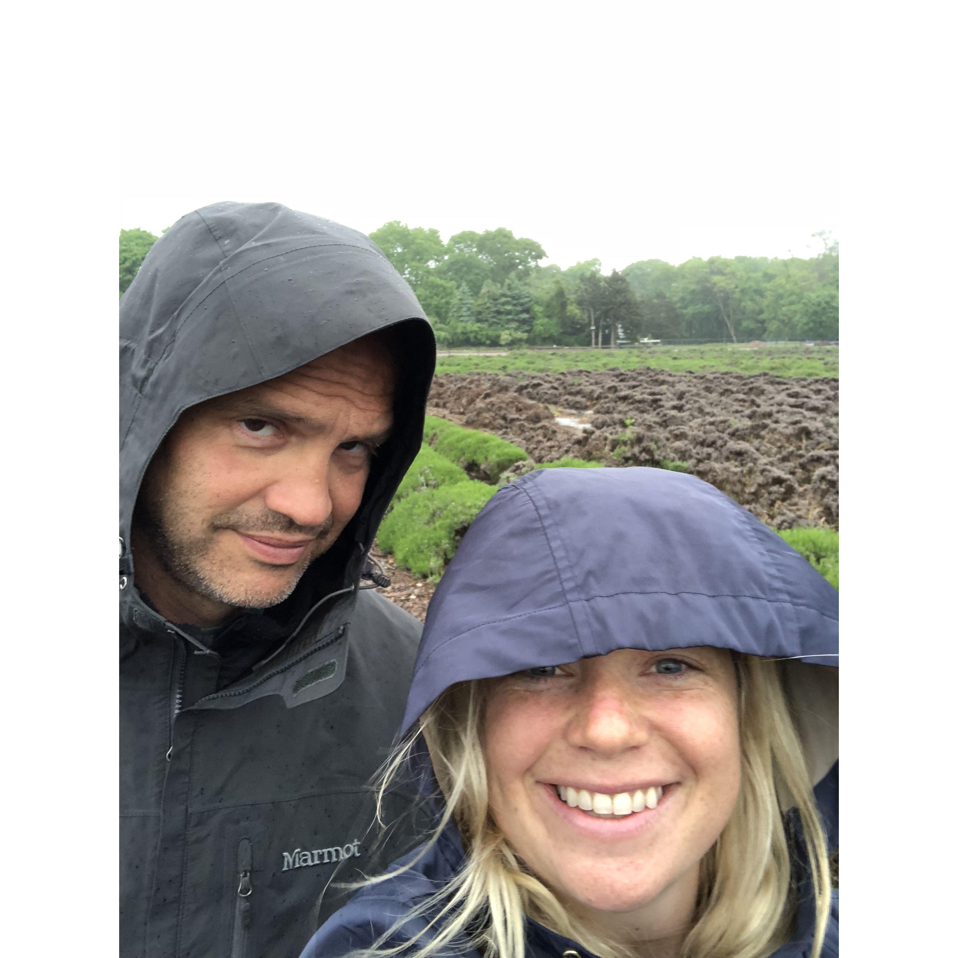 Lavender Farms, North Fork LI