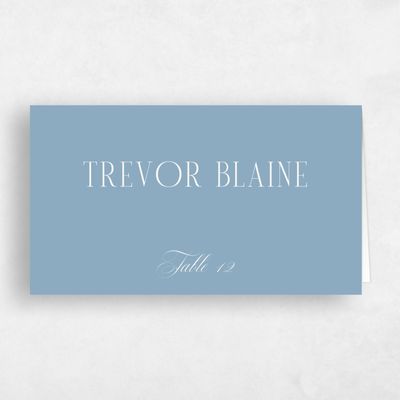 Dusty Blue Wedding Place Card - Agate