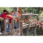 Omaha's Henry Doorly Zoo and Aquarium