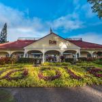 Dole Plantation