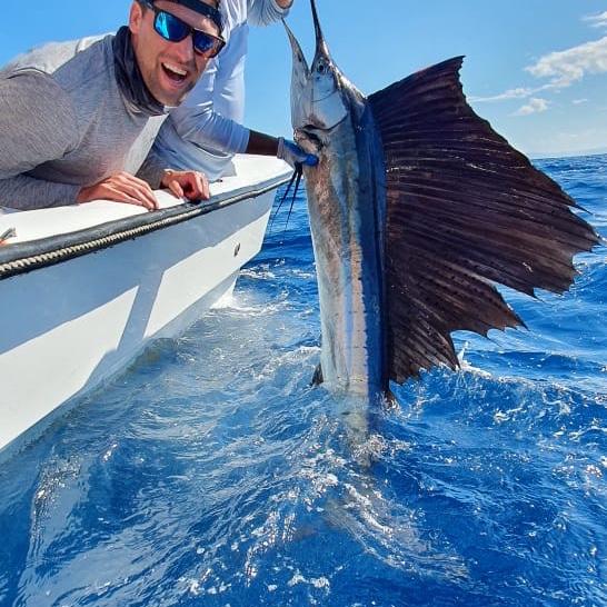 Crazy cool big sailfish