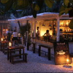 Hartwood - Dinner