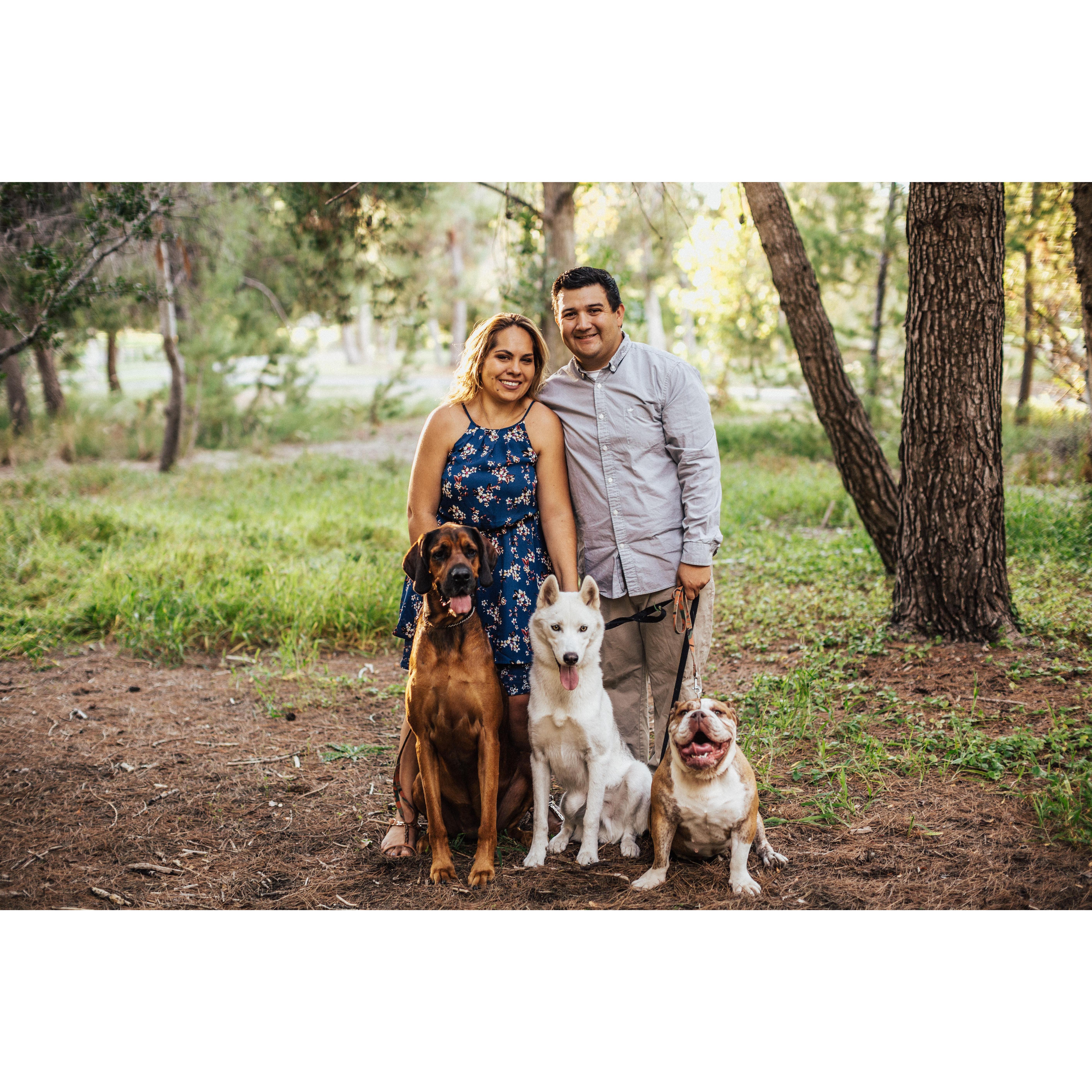 Our Little Family